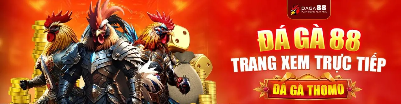 Đấu trường đá gà kịch tính tại Bom88